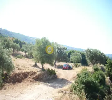 Residential 7025m<sup>2</sup> for sale photo 4367571