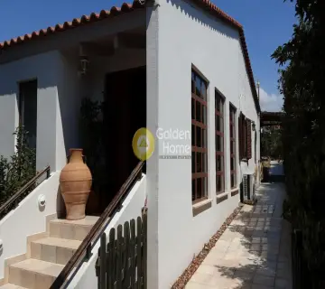 Μονοκατοικία 202τ.μ. προς πώληση φωτογραφία 98