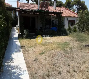 Μονοκατοικία 202τ.μ. προς πώληση φωτογραφία 102