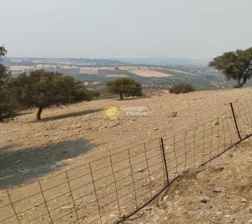 Residential 12000m<sup>2</sup> for sale photo 15