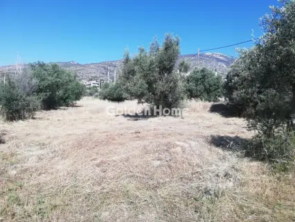 Οικιστικό 708τ.μ. προς πώληση φωτογραφία 5464194