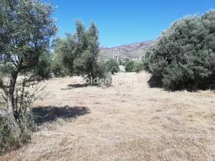 Οικιστικό 708τ.μ. προς πώληση φωτογραφία 5464195