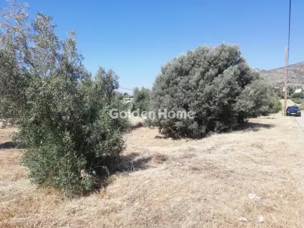 Οικιστικό 708τ.μ. προς πώληση φωτογραφία 5464198