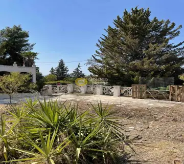 Residential 505m<sup>2</sup> for sale photo 4367164
