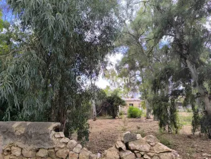 Οικιστικό 1427τ.μ. προς πώληση φωτογραφία 1