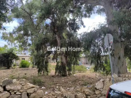 Οικιστικό 1427τ.μ. προς πώληση φωτογραφία 5667556