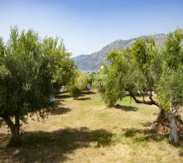 Residence complex 311m<sup>2</sup> for sale photo 4