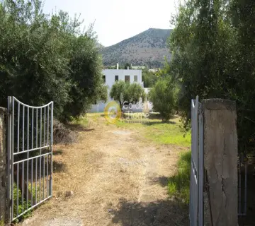 Residence complex 311m<sup>2</sup> for sale photo 9