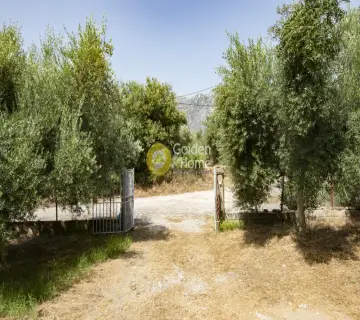 Residence complex 311m<sup>2</sup> for sale photo 12
