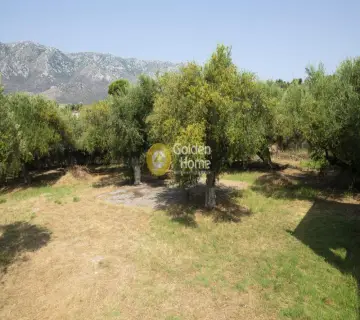 Residence complex 311m<sup>2</sup> for sale photo 34