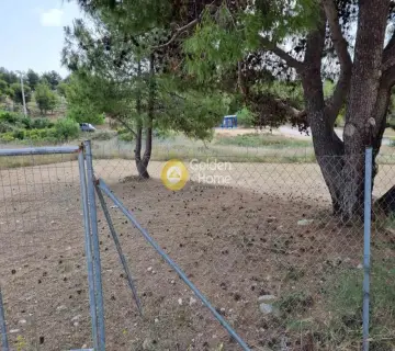Οικιστικό 1000τ.μ. προς πώληση φωτογραφία 4372689