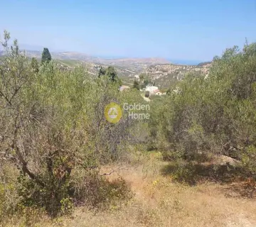 Residential 1000m<sup>2</sup> for sale photo 4372141