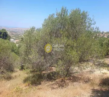 Residential 1000m<sup>2</sup> for sale photo 4372143