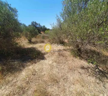 Residential 1000m<sup>2</sup> for sale photo 4372144