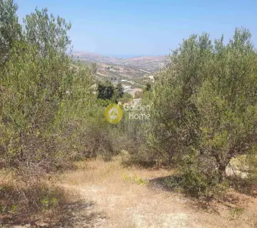 Residential 1000m<sup>2</sup> for sale photo 4372145