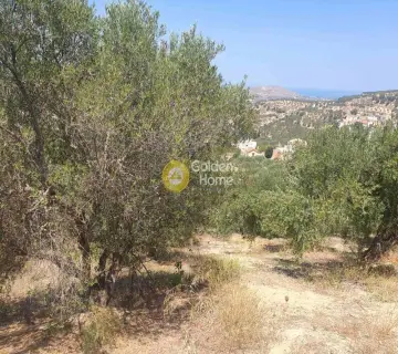 Residential 1000m<sup>2</sup> for sale photo 4372151