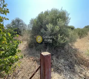 Parcel 3000m<sup>2</sup> for sale photo 4378775