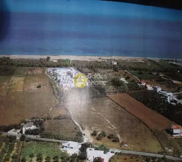 Professional Plot 15292m<sup>2</sup> for sale photo 1