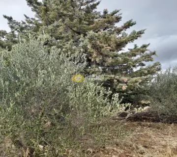 Μονοκατοικία 80τ.μ. προς πώληση φωτογραφία 4387762