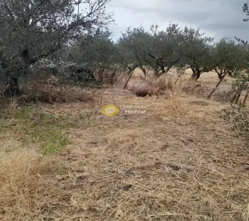 Μονοκατοικία 80τ.μ. προς πώληση φωτογραφία 4387763