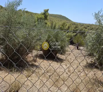 Residential 540m<sup>2</sup> for sale photo 1