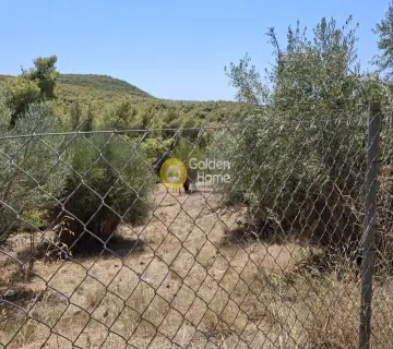 Residential 540m<sup>2</sup> for sale photo 4