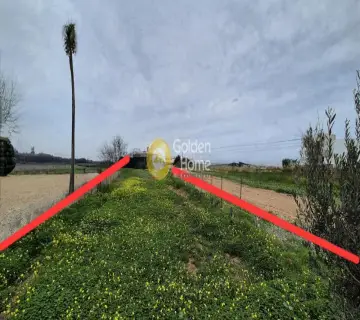 Professional Plot 924m<sup>2</sup> for sale photo 2