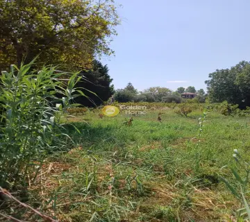Residential 3554m<sup>2</sup> for sale photo 2