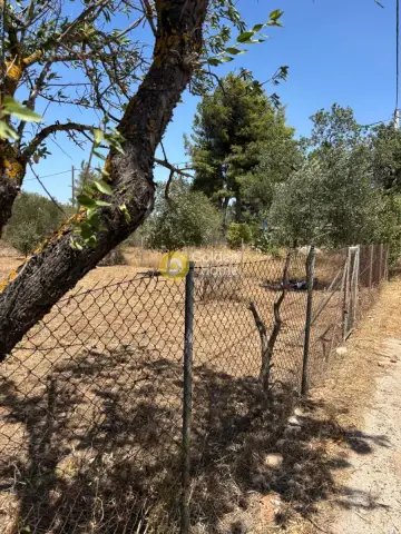 Residential 294m<sup>2</sup> for sale photo 1