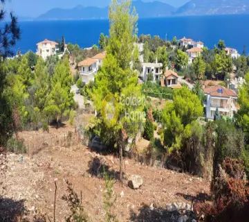 Οικιστικό 1100τ.μ. προς πώληση φωτογραφία 4382943