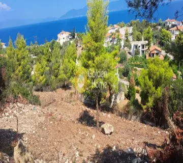 Οικιστικό 1100τ.μ. προς πώληση φωτογραφία 4382944