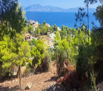 Οικιστικό 1100τ.μ. προς πώληση φωτογραφία 4382945