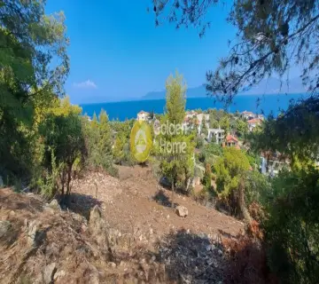 Οικιστικό 1100τ.μ. προς πώληση φωτογραφία 4382946