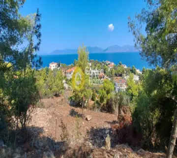 Οικιστικό 1100τ.μ. προς πώληση φωτογραφία 4382947