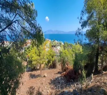 Οικιστικό 1100τ.μ. προς πώληση φωτογραφία 4382947