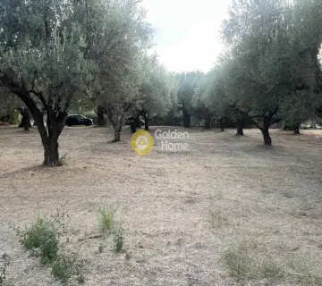 Residential 4050m<sup>2</sup> for sale photo 4390703