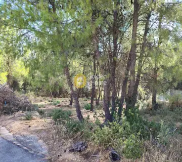 Residential 286m<sup>2</sup> for sale photo 4383467