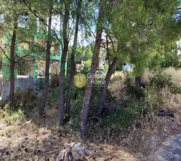 Residential 286m<sup>2</sup> for sale photo 4383467