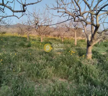Professional Plot 14460m<sup>2</sup> for sale photo 4500144