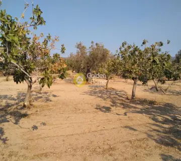Professional Plot 14460m<sup>2</sup> for sale photo 4500159