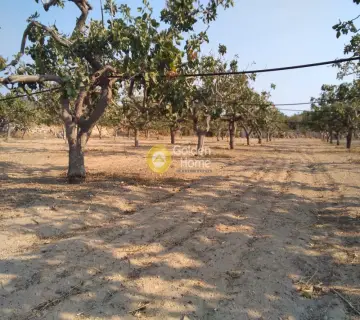 Professional Plot 14460m<sup>2</sup> for sale photo 4500160