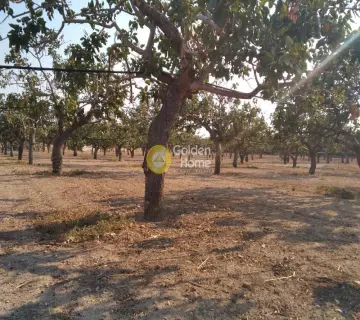 Professional Plot 14460m<sup>2</sup> for sale photo 4500142