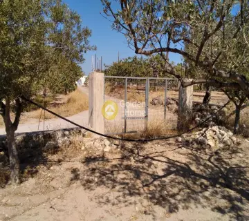 Professional Plot 14460m<sup>2</sup> for sale photo 4500161