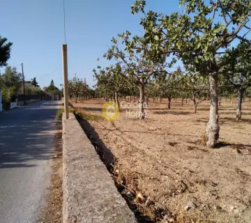 Professional Plot 14460m<sup>2</sup> for sale photo 4500145