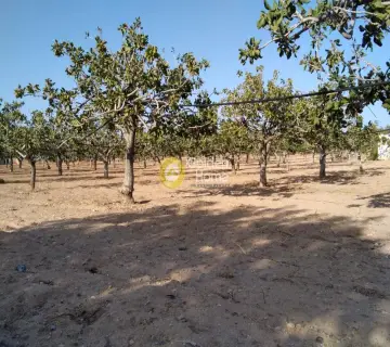 Professional Plot 14460m<sup>2</sup> for sale photo 4500148