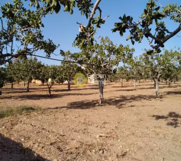 Professional Plot 14460m<sup>2</sup> for sale photo 4500147