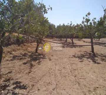 Professional Plot 14460m<sup>2</sup> for sale photo 4500149