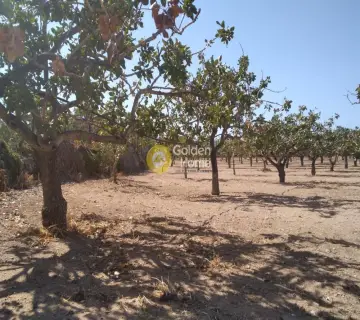 Professional Plot 14460m<sup>2</sup> for sale photo 4500151