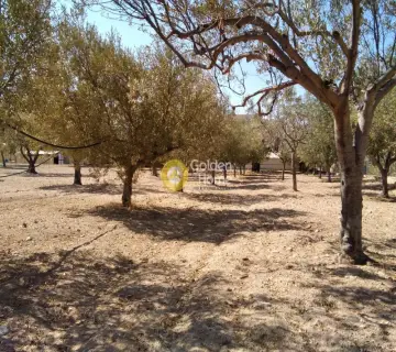 Professional Plot 14460m<sup>2</sup> for sale photo 4500153