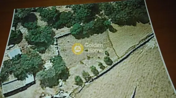 住宅 954m<sup>2</sup> for sale photo 4959946